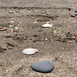 Campings MOBIL HOME LE BIENVENUE 3 CH VALRAS PLAGE : photos des chambres