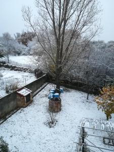 Casa de huéspedes Villa de las Hortensias
