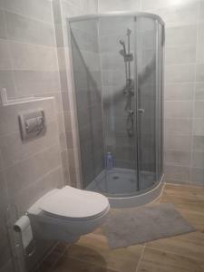 Przytulny apartament w sercu Karkonoszy