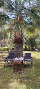 Villa Βianca in Sithonia - 基拉奇尼