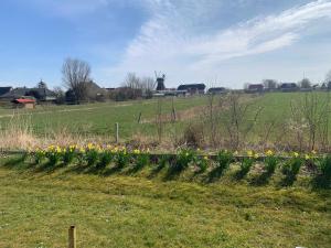 Appartement Möhlkiek