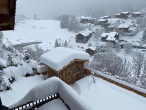 Chalets Chalet des Trappeurs Coeur Vanoise 15 persons : photos des chambres