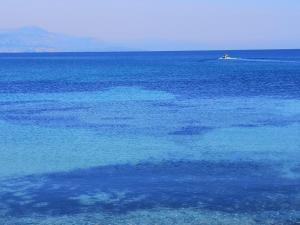 5 min to sea and Palais des Festivals