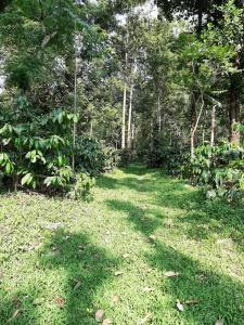 Katihalli Estate Stays