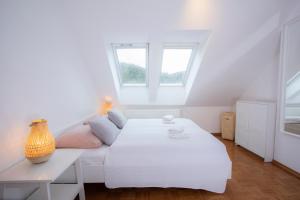 Duplex Apartment Panj Kranjska Gora 