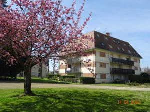 Appartements Studio climatise a 10 min de la plage : photos des chambres