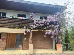 Apartments in Leafy Suburb