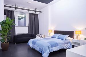 LOFT PRINCIPE PIO