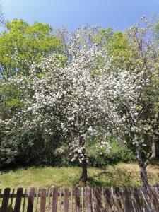 Ferienwohnung Riedbach