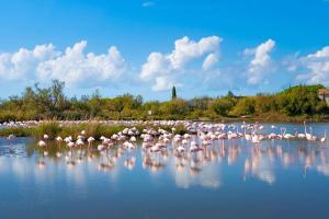 Maisons de vacances Coucher de soleil en Camargue : photos des chambres