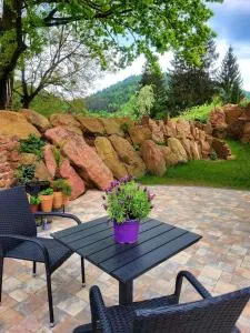 FeWo am Neckarsteig mit Anbindung an Heidelberg - Waldwimmersbach