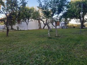 Skiathos Maria Apartments