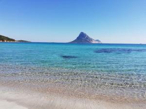 vacanze a Monte Petrosu