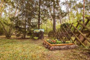 Domek letniskowy Keja