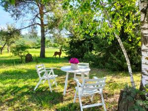 App.to Pian del Ronco