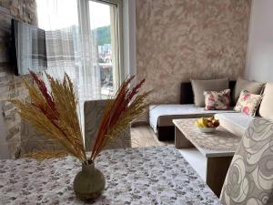 Apartment Dragan - 3hvězdičkové hotely ve městě Budva