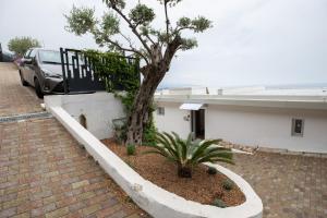 Appartements Mont des Olives - Cap D'ail- app6 : photos des chambres