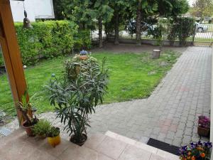 Holiday home in Siofok - Balaton 42696