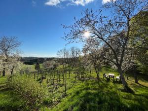 Kellerstöckl Hütter