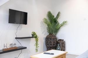 Doux Cocon Tropical au cœur du centre ville