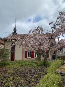 Appartements Bastide du Soldat : photos des chambres