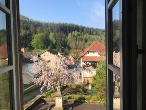 Appartements Bastide du Soldat : photos des chambres