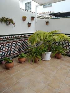 Casa adosada - Los Boliches - Fuengirola