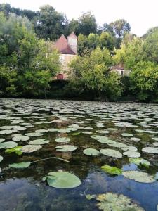 Maisons de vacances Petite maison cottage anglais au bord de Dordogne : photos des chambres