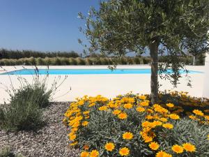 Villa Fryni, private pool & seaview by Naxos Dunes