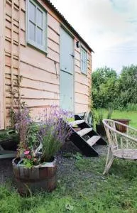 The shepherds hut - Dorrington