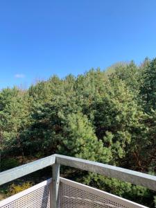 Baltic Olive Apartment