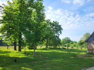 Maisons de vacances Gite de la Chapelle - Circuit des 24 heures - ARNAGE - 10 personnes : photos des chambres