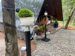 Archh (A resort chain of home stay huts)