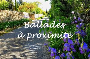 Maisons de vacances Gite urbain les jardins de la meyne : photos des chambres