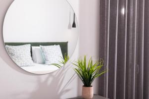 Lithies Zante Living