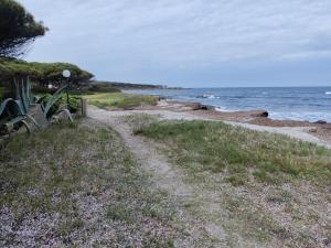 Rotonda Sul Mare img16