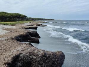 Rotonda Sul Mare
