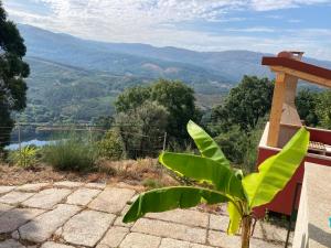 Casa ponto Da Cruz t3