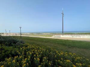 Le Bruit Des Vagues