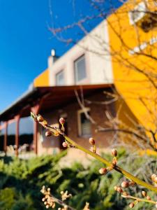 Gabi Ház Apartmanok*** Hajdúszoboszló