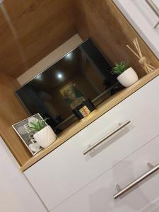 Amelia Apartment