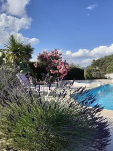 Maisons de vacances Gite provencal independant avec piscine chauffee : LE SUY BIEN : photos des chambres