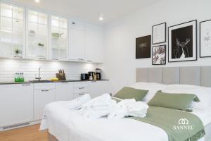 Apartament Baltic Amber z dostępem do basenów,strefy saun, jacuzzi przez cały rok- Pinea Apartments Pobierowo-SANNEL Apartments for rent