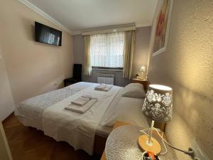 Standard Double Room with Shared Bathroom room in Hostel Dino
