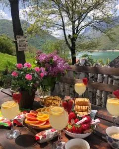 Apartment Relax - Plužine