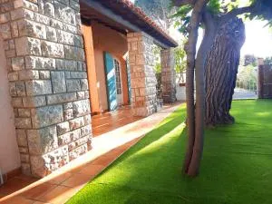 Domaine des Pins - Baixas