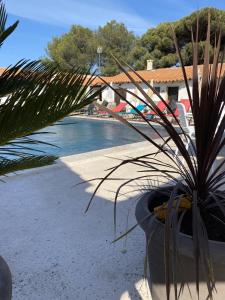 Hotels Hotel du Pont Blanc : photos des chambres