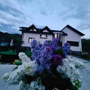 Perla Muntilor Ponoarele, Padurea de liliac - Tismana