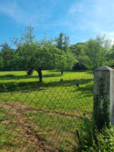 Maisons de vacances Les 3 cedres : photos des chambres