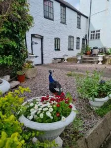 Old Printers Ruthin - Plâs-Llanrhydd
